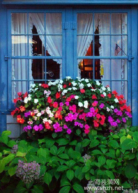 鲜花爬上别墅窗户,给你别样的花团锦簇