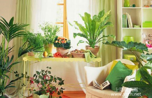 卧室放什么植物好,最适合放卧室的植物推荐