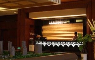 开发商会所-凤飞飞