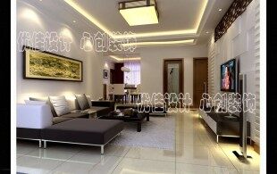 2010年成功案例-2010年成功案例