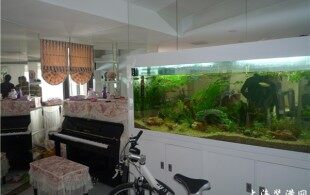 现代简约-简欧-完工阶段