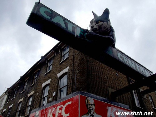 創(chuàng)意屋頂設(shè)計(jì)