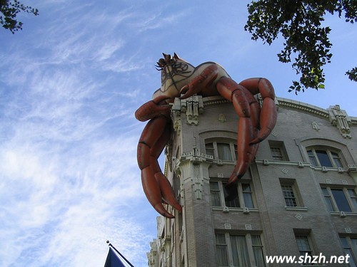 創(chuàng)意屋頂設(shè)計(jì)