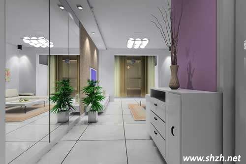 現(xiàn)代簡約家居玄關(guān)設(shè)計  玄關(guān)收納設(shè)計