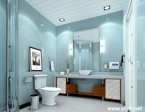 淡藍的衛(wèi)浴間設計