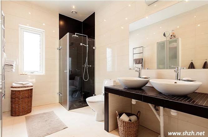 雅致木屋別墅衛(wèi)生間裝修