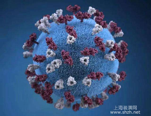 肺结核病毒的图片图片