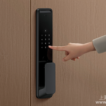 装修必看！指纹锁与人脸锁，哪种更适合你的家