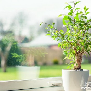 父母年纪大了房子怎么装？提前抄作业！2026年超火的“适老化”装修指南