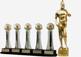 榮譽(yù)獎(jiǎng)杯