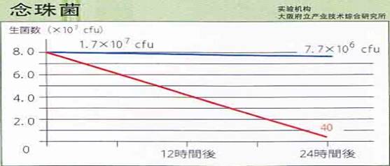 念珠菌檢測(cè)報(bào)告