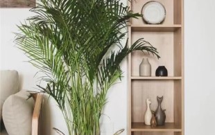 舍北家园惠泽园