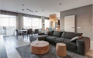 开放式的时尚感公寓设计