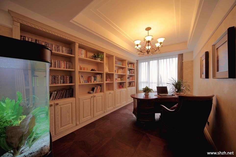 豪华书房实景图