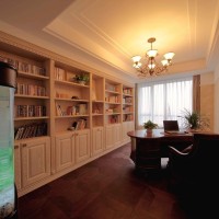 豪华书房实景图