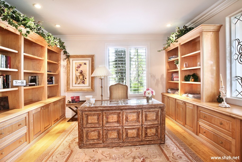 豪华书房