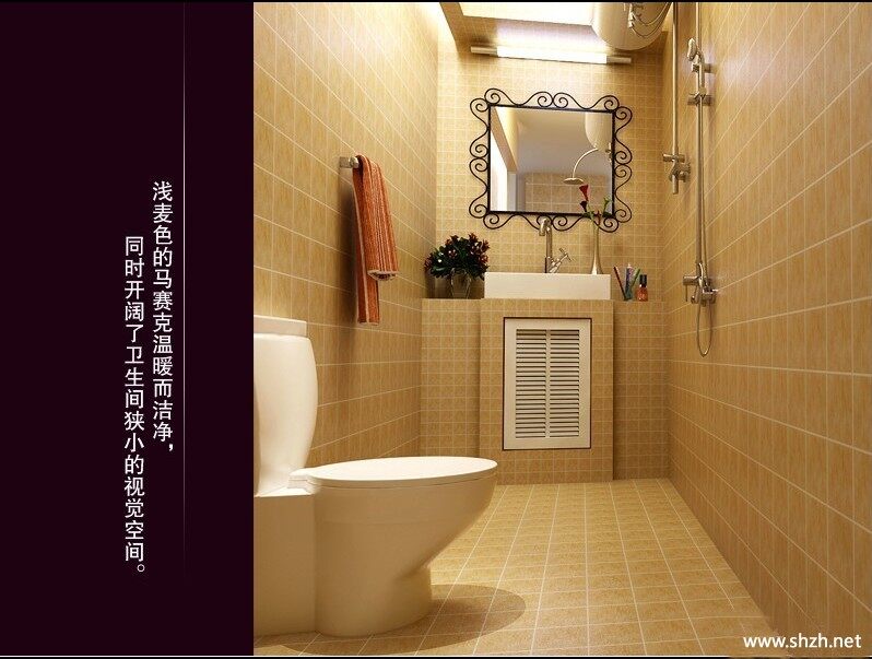 小户型田园卫生间马桶