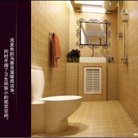 小户型田园卫生间马桶