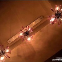 客厅灯具实景图