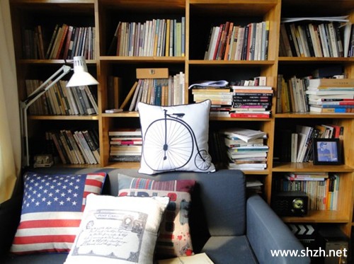书房沙发书架
