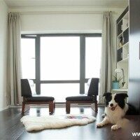 现代阳台/飘窗壁橱衣柜中户型实景图
