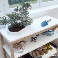 简约清新