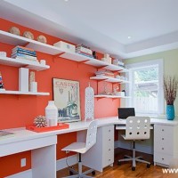 书房书架/书柜实景图