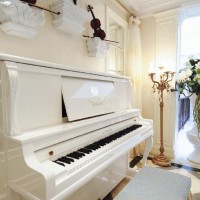 法式休闲娱乐室效果图