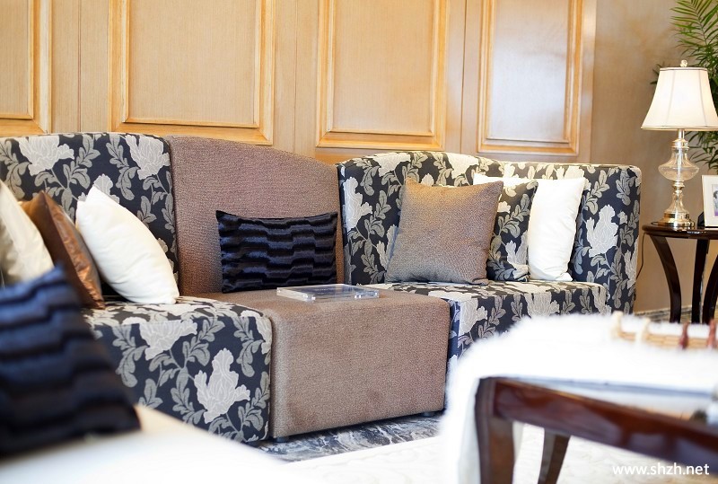 混搭客厅沙发效果图