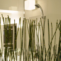 日式隔断装修案例欣赏