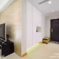 120㎡简约大两居室进门过道效果图