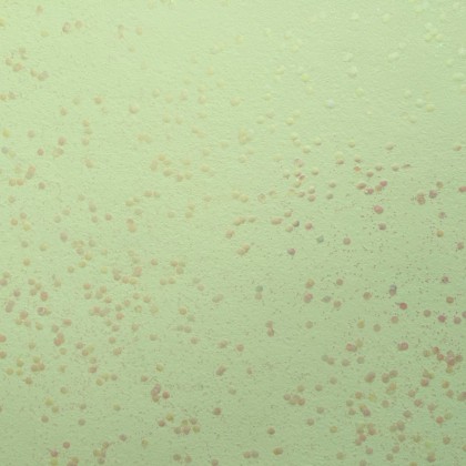 鳄鱼彩妆艺术涂料--星宇604