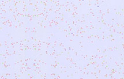 鳄鱼彩妆艺术涂料--星宇606