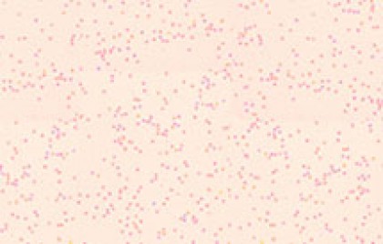 鳄鱼彩妆艺术涂料--星宇601