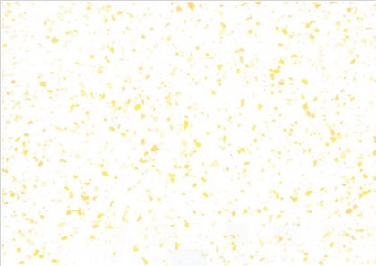 鳄鱼彩妆艺术涂料--欧缦EC104