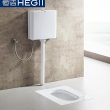 HEGII恒洁蹲便器水箱套装卫生间蹲坑蹲厕便池防臭大便器H307+613