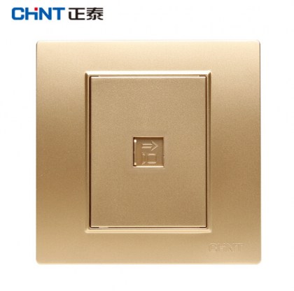 正泰（CHNT） 正泰钢架墙壁开关插座面板 网线插座 NEW7L香槟金色 电脑插座面板