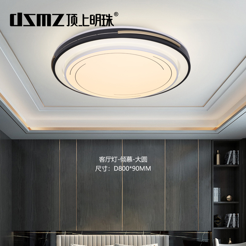 DSMZ顶上明珠照明   现代灯系列  倾慕-大圆  灯具  灯饰  灯光  软装灯光设计