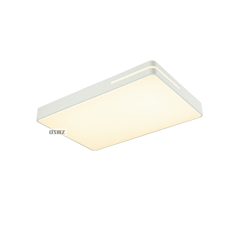 DSMZ顶上明珠照明  现代灯系列  浅夏   灯具  灯饰  灯光  软装灯光设计