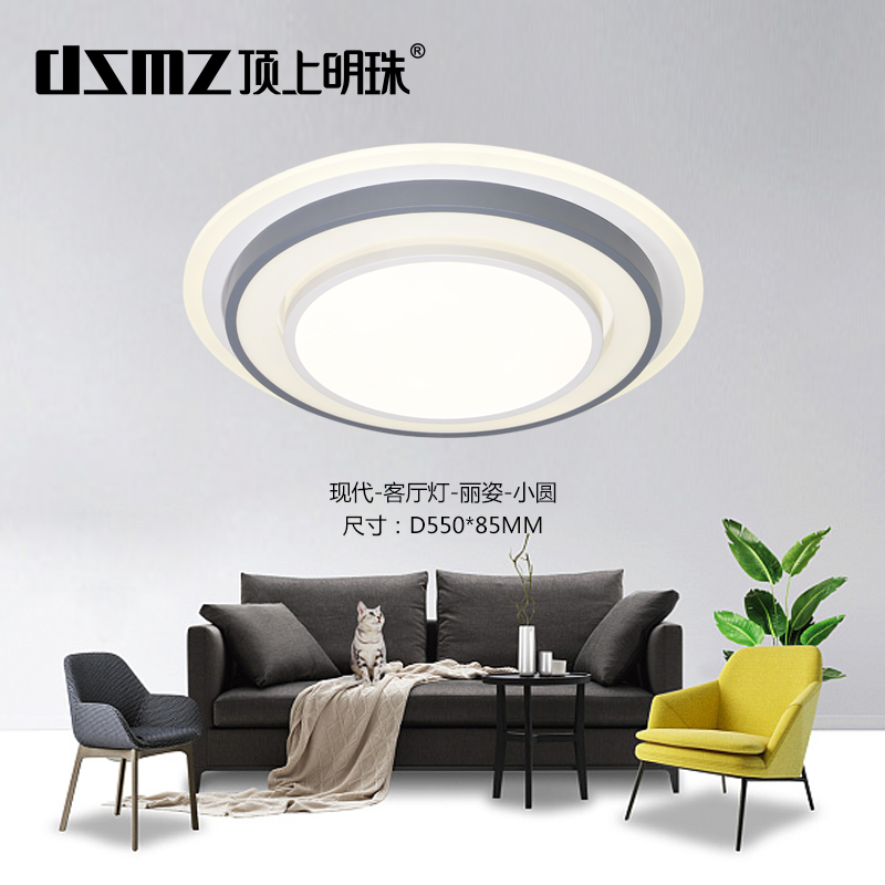 DSMZ顶上明珠照明    现代灯丽姿系列  灯具  灯饰  灯光  软装灯光设计