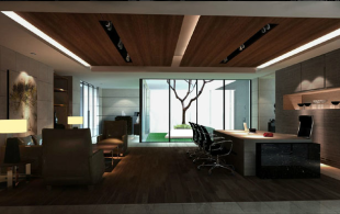 西红柿集团设计装修效果图-西红柿集团设计装修效果图