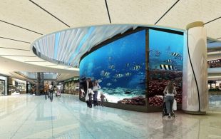 大庆立天唐人龙凤广场-效果