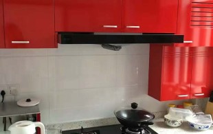 城东新村-完工效果图