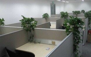 丰年资本-甲醛治理图片