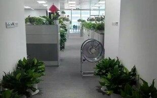 诺德中心-室内空气治理施工