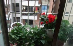 简约舒适的89平双拼房装修-完工效果图