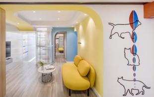 上海48平方米高密度人宠的优雅混居-现场图片